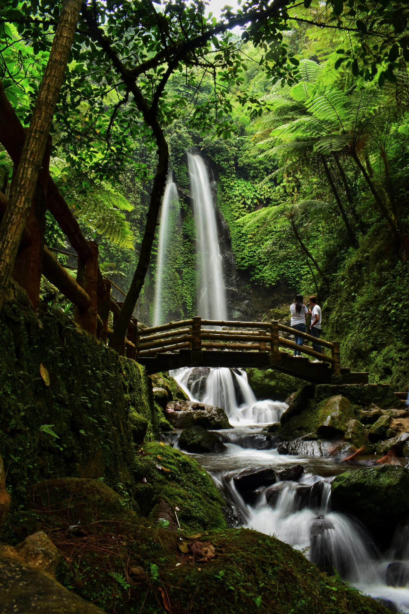 Reserva Amazónica Hamadryade